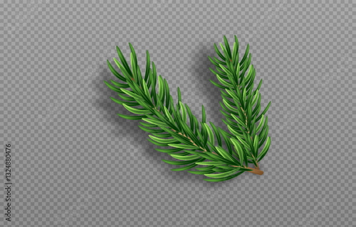 Green Christmas fir branches with detailed needles in vector graphics. Perfect for holiday designs, greeting cards, and banners. Png background for easy integration.
