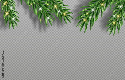 Green Christmas fir branches with detailed needles in vector graphics. Perfect for holiday designs, greeting cards, and banners. Png background for easy integration.