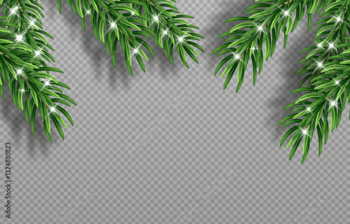 Green Christmas fir branches with detailed needles in vector graphics. Perfect for holiday designs, greeting cards, and banners. Png background for easy integration.