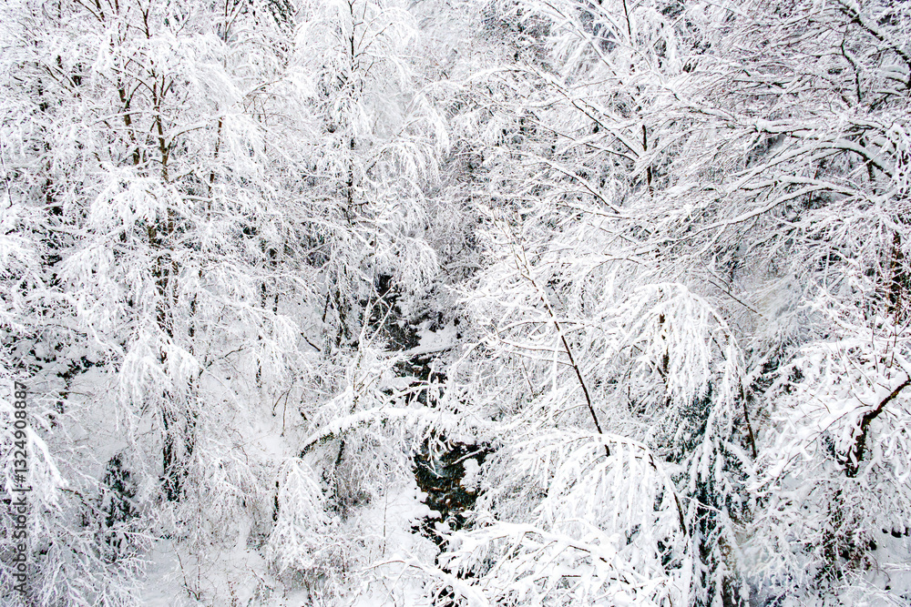Fototapeta premium Rivière de Haute Savoie, in forest with trees crumbling under the snow