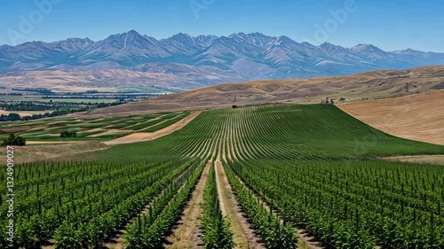 Wallpaper Mural Vineyard Landscape with Majestic Mountain Range Torontodigital.ca