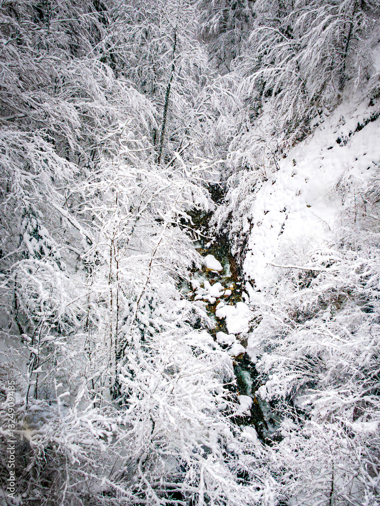 Fototapeta premium Rivière de Haute Savoie, in forest with trees crumbling under the snow