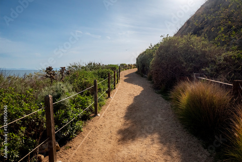 Rich greenery and landscape lined dirt path that has a full ocean view to the horizon