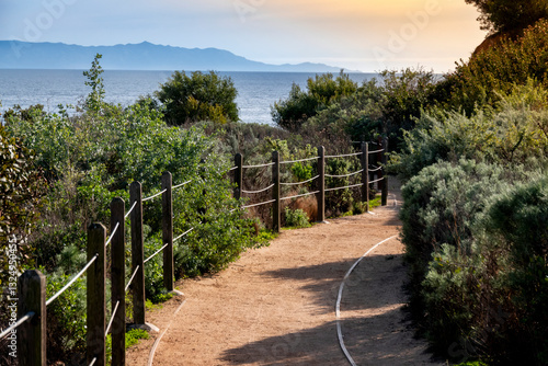 Obraz na płótnie Rich greenery and landscape lined dirt path that has a full ocean view to the horizon w salonie
