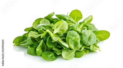 Corn salad lambs lettuce isolated on white