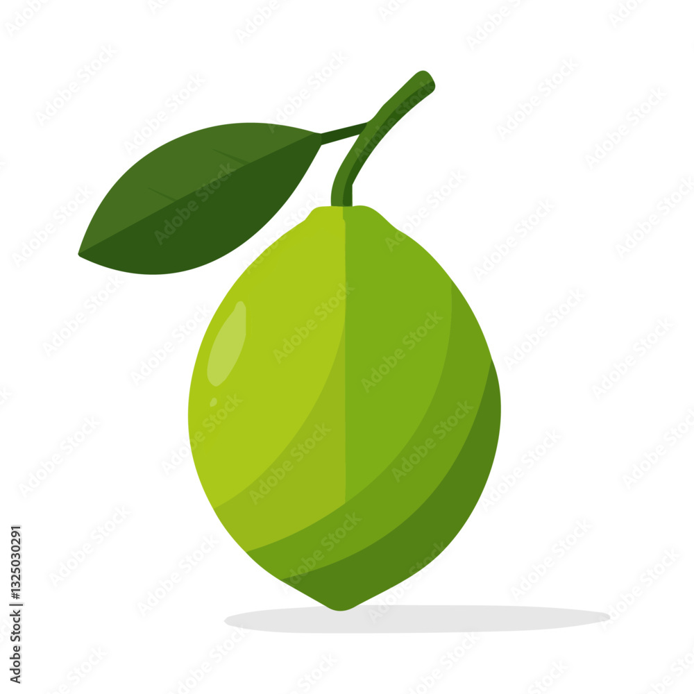 Spanish Lime Icon | Minimalist & Elegant Vector Art.
Spanish Lime Icon | Minimalist & Elegant Vector Art.
