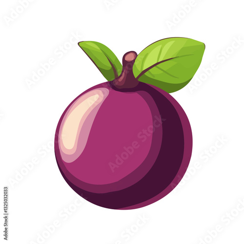 Wild Mangosteen Icon – Vector Illustration of the Exotic Fruit
