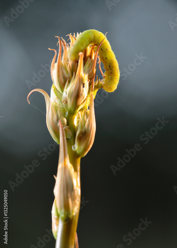 starting from the top