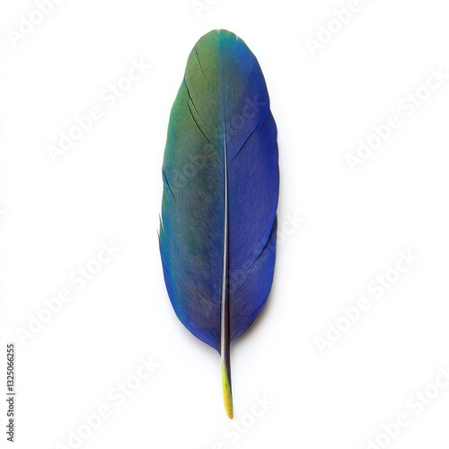 colorful feathers isolated on white background