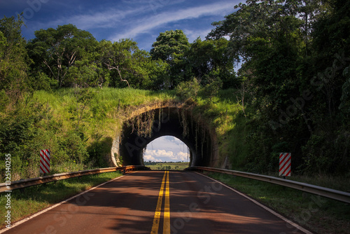Ecoducto en Misiones, Argentina