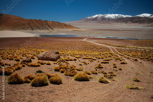Volcán Galán Argentina