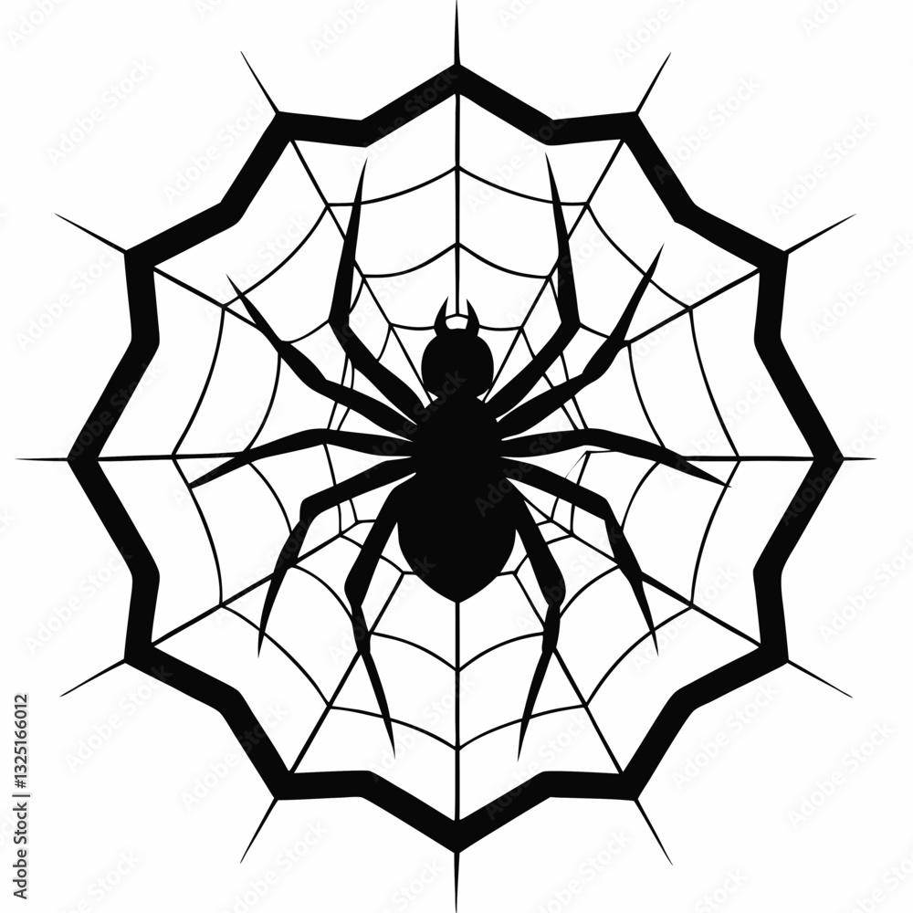 Obraz premium spider on a web