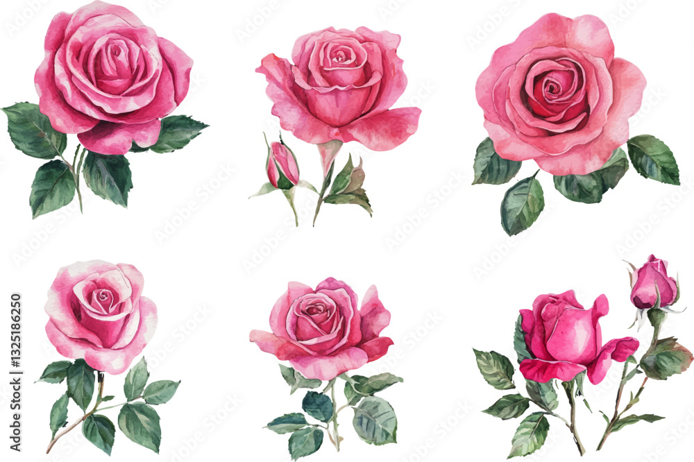 Naklejka premium set of roses vector illustration
