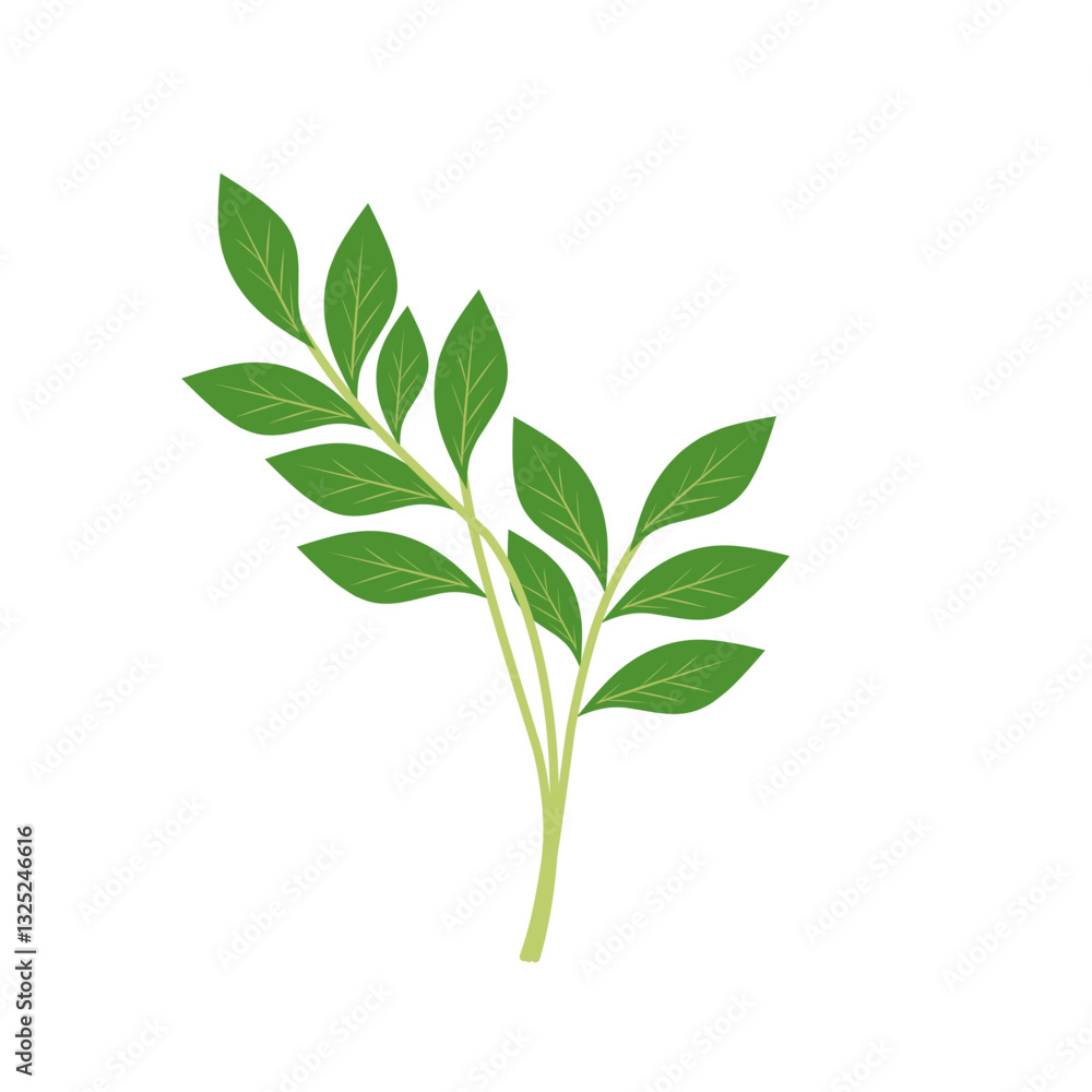 Fototapeta premium Illustration of a branching green leaf 