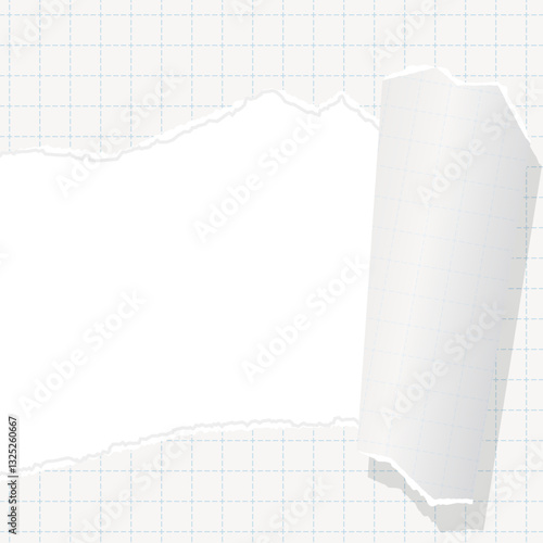 破れた方眼用紙の背景フレーム、グリッド、ノート