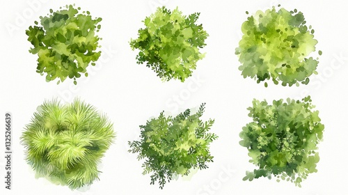 A soft and natural set of six watercolor inspired top down trees