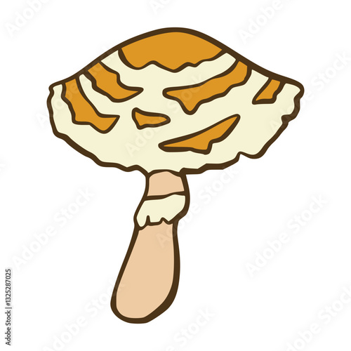 LEPIOTA CRISTATA MUSHROOM VECTOR ILLUSTRATION