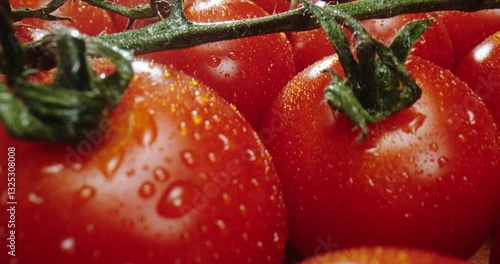 Fresh, ripe red tomatoes adorned with glistening water droplets resting on their vine