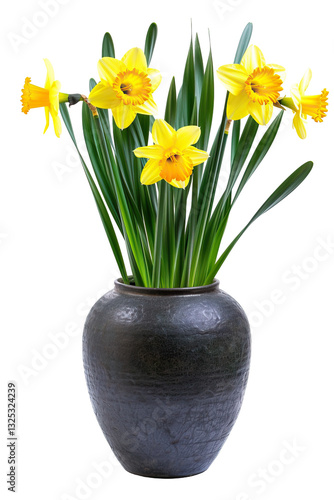 Wallpaper Mural Daffodils In A Rustic Vase. Yellow Spring Blooms, Isolated On Transparent. Floral Art, Botanical Decor.
 Torontodigital.ca