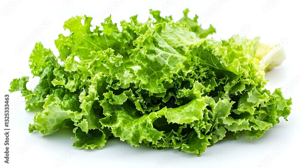 Fresh green leaf lettuce isolated on white Fresh green leaf lettuce isolated on white