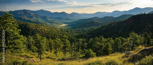 Breathtaking Pine Hills Mountains Landscape Photo for Nature Enthusiasts