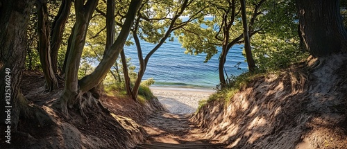 Serpentine Stairway Leading Through Lush Trees to a Tropical Beachfront Paradise