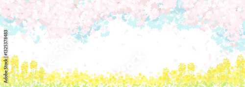桜と春の空　菜の花畑