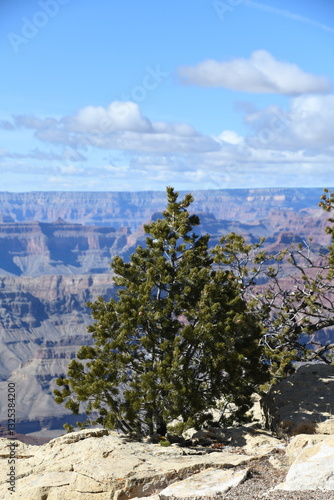Grand Canyon