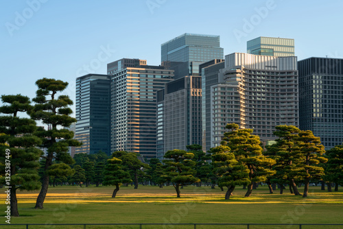 Photography Skyscrapers of the Marunouchi business district in Chiyoda Ward against the back