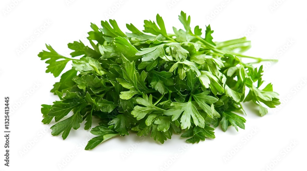 parsley isolated on a white background parsley isolated on a white background