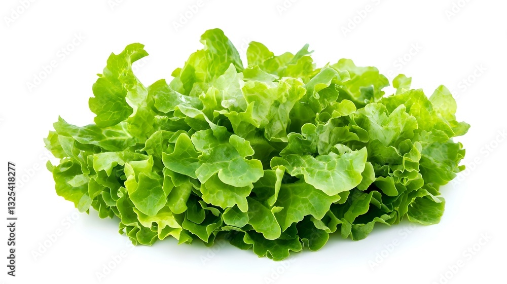 Butterhead salad isolated on white background Butterhead salad isolated on white background