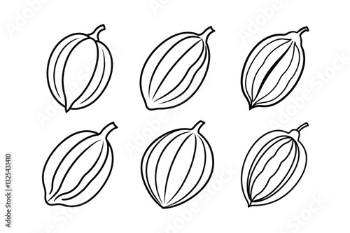 Cacao (Cocoa) – Theobroma cacao fruits line art vector illustration