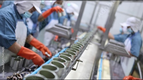 Food factory line workers fish packing in tin can process in canned fish factory