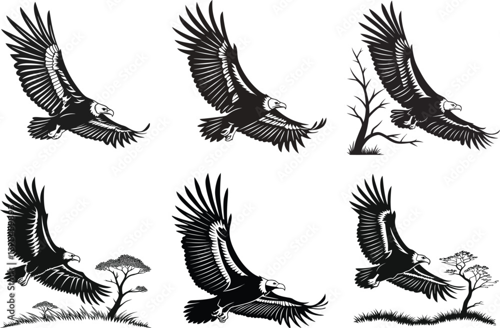 Majestic Vultures A Collection of Dynamic Silhouette. Majestic Vultures A Collection of Dynamic Silhouette.