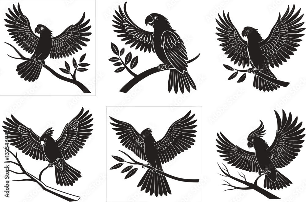 Obraz premium Elegant Black Cockatoo Illustrations Exotic Bird Collection.