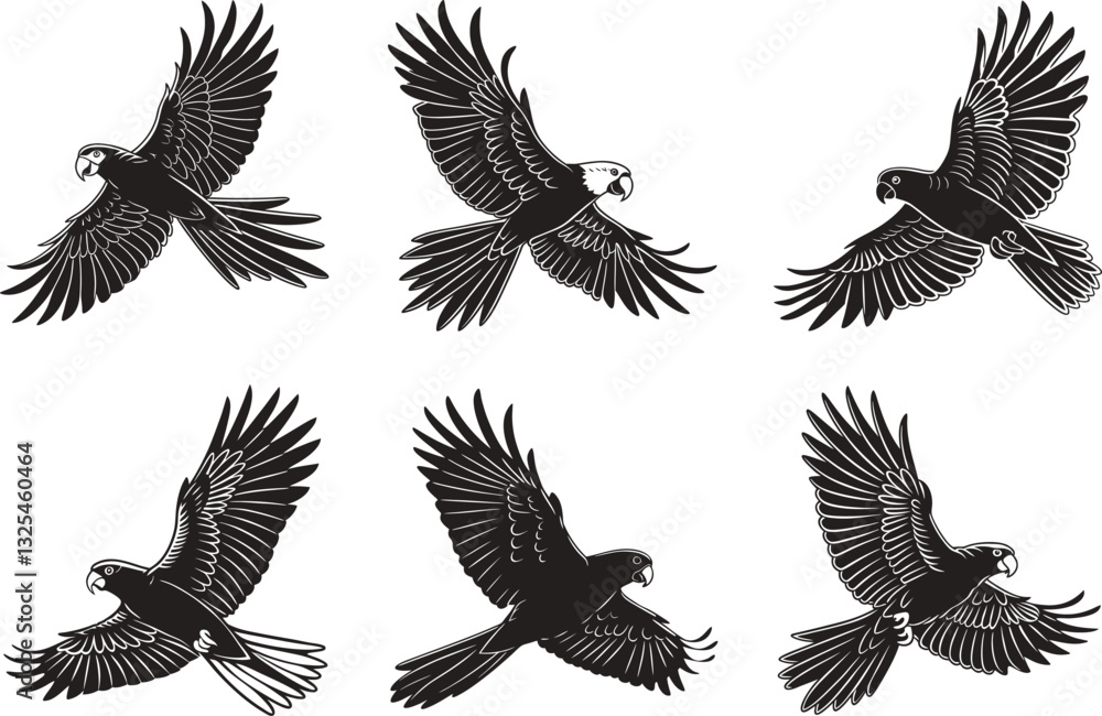 Naklejka premium Elegant Black Cockatoo Illustrations Exotic Bird Collection.