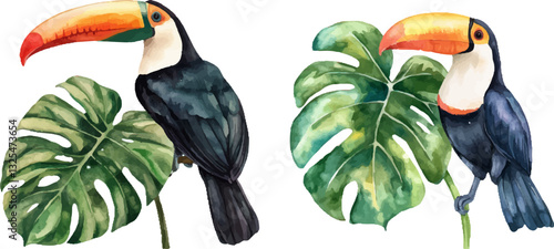 A toucan with a long, brightly colored beak.