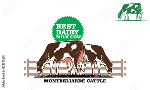 motbeliarde dairy cattle logo, silhouette of great healthy cow standing at ranch, vector illustrations