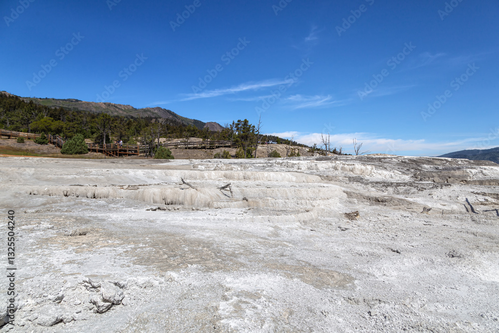 Mammoth Hot Springs Yellowstone National Park Mammoth Hot Springs Yellowstone National Park