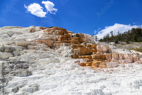 Wallpaper Mural Mammoth Hot Springs Yellowstone National Park Torontodigital.ca