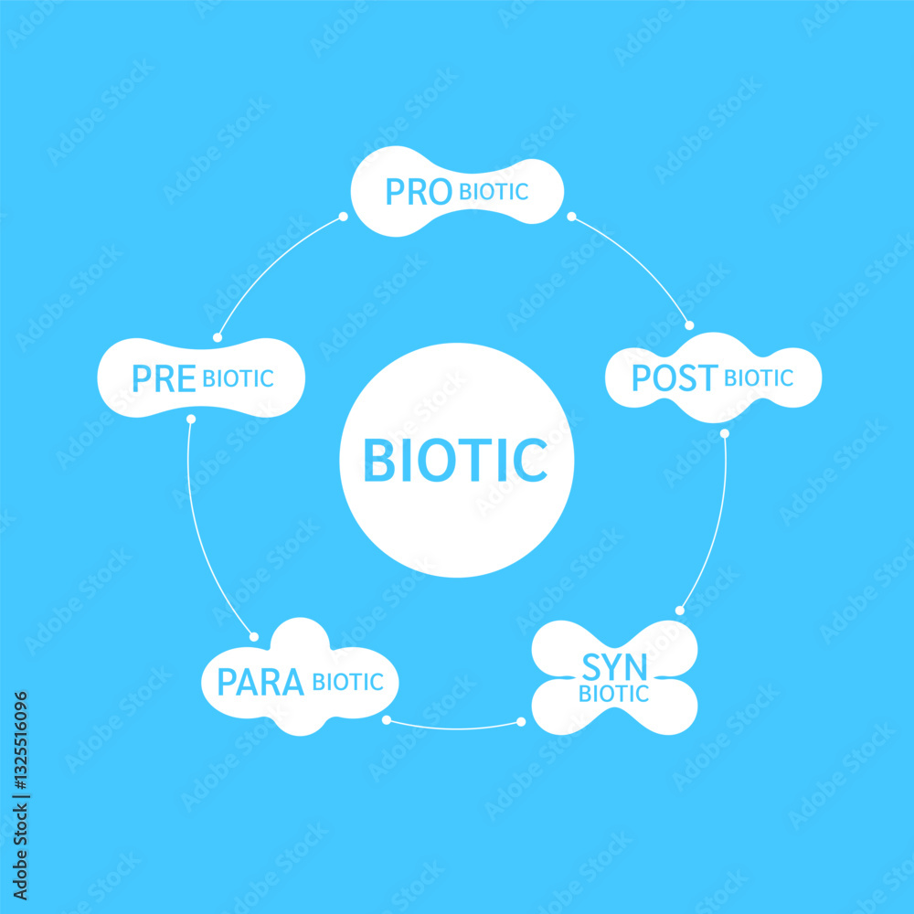 Prebiotic Probiotic Postbiotic Parabiotic Synbiotic bacteria infographics on blue background. Good bacterial flora for stomach and intestine. Health care immunity support. Banner vector EPS10. Prebiotic Probiotic Postbiotic Parabiotic Synbiotic bacteria infographics on blue background. Good bacterial flora for stomach and intestine. Health care immunity support. Banner vector EPS10.