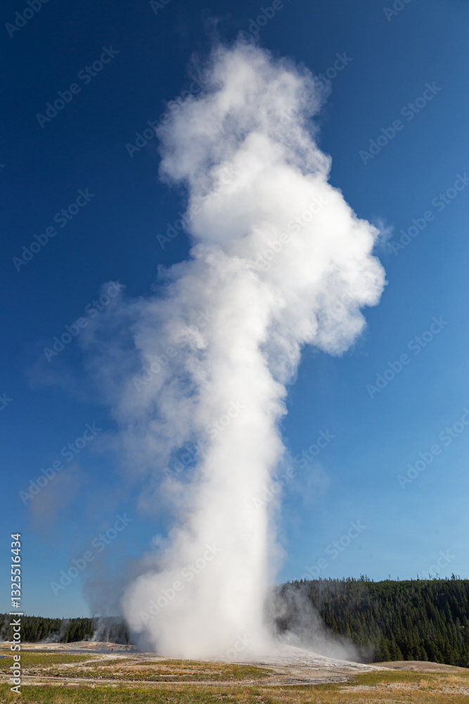 Old Faithful Geyser, Yellowstone National Park Old Faithful Geyser, Yellowstone National Park