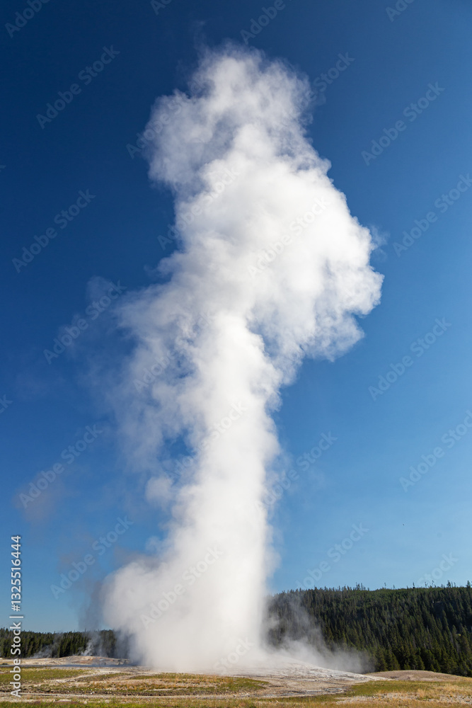 Old Faithful Geyser, Yellowstone National Park Old Faithful Geyser, Yellowstone National Park