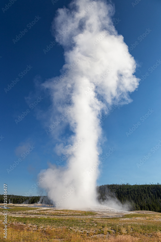Old Faithful Geyser, Yellowstone National Park Old Faithful Geyser, Yellowstone National Park