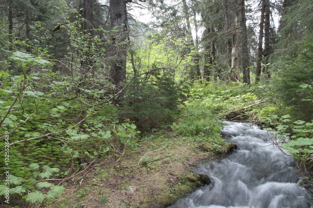Scenic greenery with waterfall and stream of water Scenic greenery with waterfall and stream of water