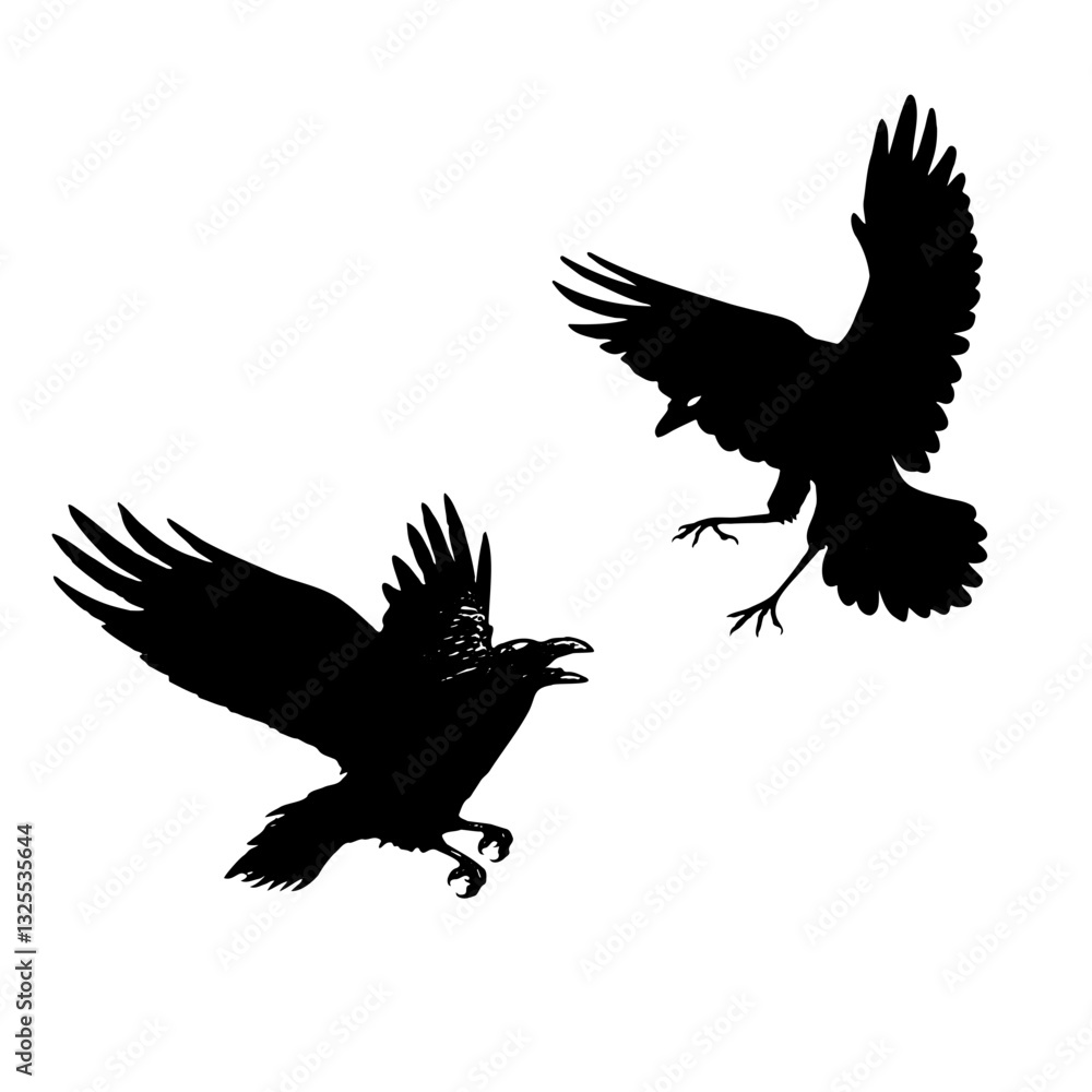 Obraz premium silhouette of a crow in flight