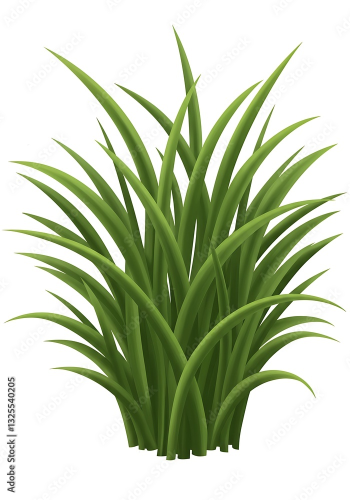 Green Grass Blades Growing in a Clump on White Background Green Grass Blades Growing in a Clump on White Background