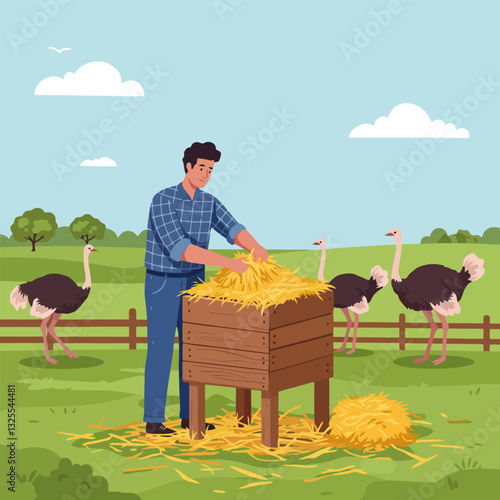 Man Feeding Hay to Ostriches in a Rural Farming Landscape