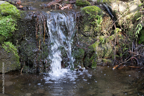 waterfall in the forest