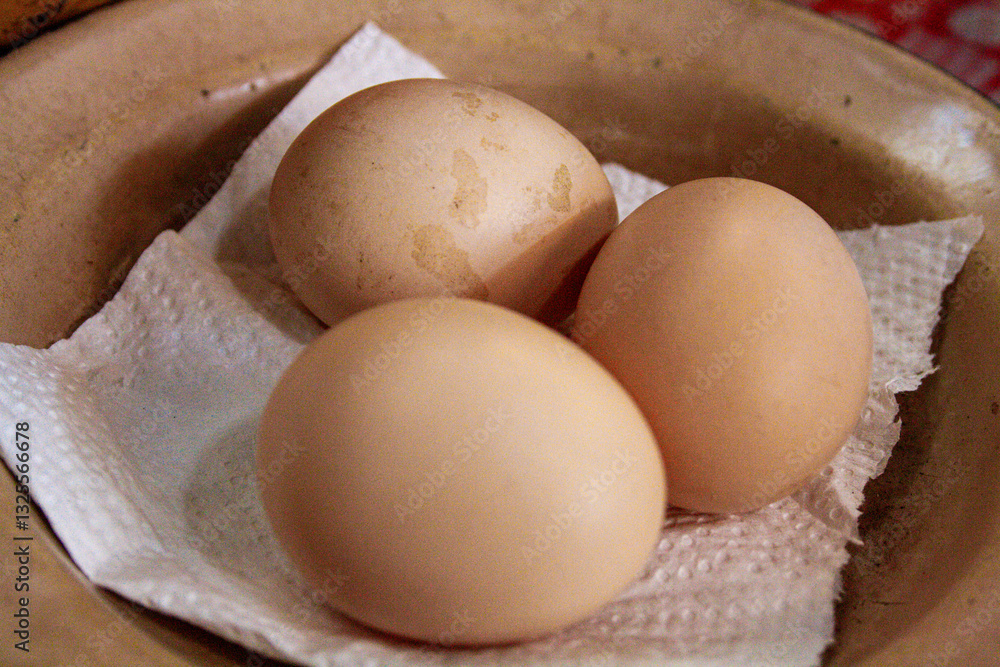 Fresh chicken eggs are placed on a tissue-lined plate Fresh chicken eggs are placed on a tissue-lined plate